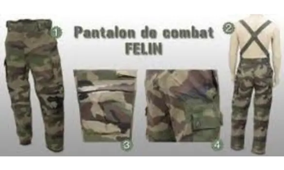 Pants Feline French Army