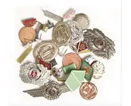 Insigne NVA métal divers